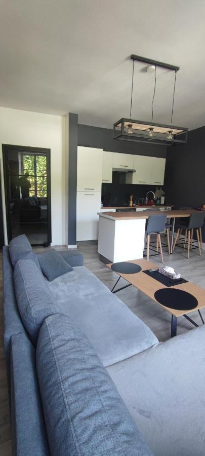 Appartement D'Hippolyte - Vue Musee Rimbaud Charleville-Mézières Esterno foto